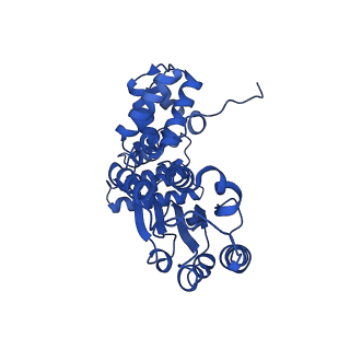 27666_8dqz_B_v1-1
Intermediate state of RFC:PCNA bound to a 3' ss/dsDNA junction