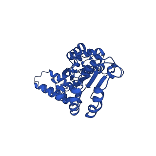 27666_8dqz_C_v1-1
Intermediate state of RFC:PCNA bound to a 3' ss/dsDNA junction