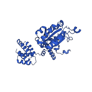 27666_8dqz_D_v1-1
Intermediate state of RFC:PCNA bound to a 3' ss/dsDNA junction