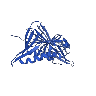 27666_8dqz_F_v1-1
Intermediate state of RFC:PCNA bound to a 3' ss/dsDNA junction