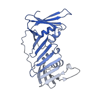 27666_8dqz_G_v1-1
Intermediate state of RFC:PCNA bound to a 3' ss/dsDNA junction