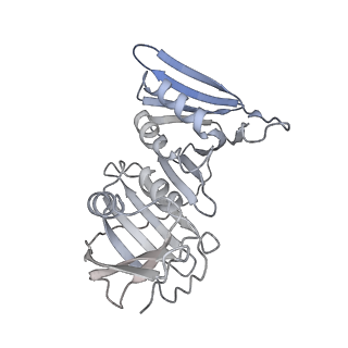 27666_8dqz_H_v1-1
Intermediate state of RFC:PCNA bound to a 3' ss/dsDNA junction