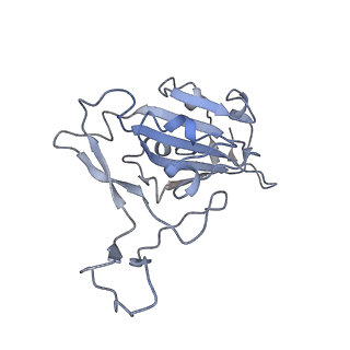 30816_7dqa_C_v1-1
Cryo-EM structure of SARS-CoV2 RBD-ACE2 complex