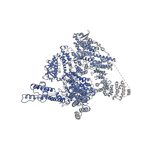 7981_6dqn_A_v1-2
Class 1 IP3-bound human type 3 1,4,5-inositol trisphosphate receptor
