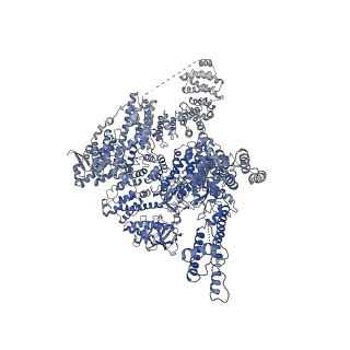 7981_6dqn_B_v1-2
Class 1 IP3-bound human type 3 1,4,5-inositol trisphosphate receptor