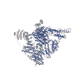 7981_6dqn_C_v1-2
Class 1 IP3-bound human type 3 1,4,5-inositol trisphosphate receptor