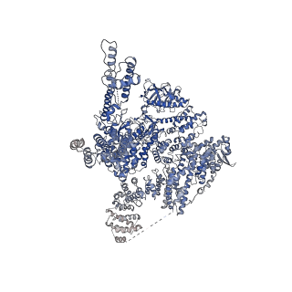 7981_6dqn_D_v1-2
Class 1 IP3-bound human type 3 1,4,5-inositol trisphosphate receptor