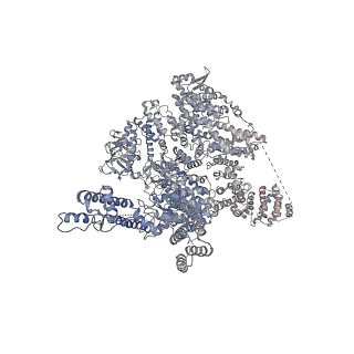 7983_6dqs_A_v1-2
Class 3 IP3-bound human type 3 1,4,5-inositol trisphosphate receptor