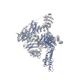 7983_6dqs_B_v1-2
Class 3 IP3-bound human type 3 1,4,5-inositol trisphosphate receptor