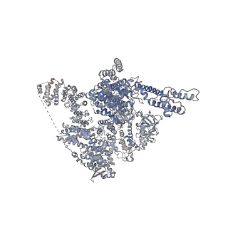 7983_6dqs_C_v1-2
Class 3 IP3-bound human type 3 1,4,5-inositol trisphosphate receptor
