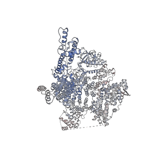 7983_6dqs_D_v1-2
Class 3 IP3-bound human type 3 1,4,5-inositol trisphosphate receptor