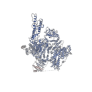 7984_6dqv_A_v1-2
Class 2 IP3-bound human type 3 1,4,5-inositol trisphosphate receptor