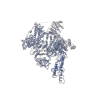 7984_6dqv_C_v1-2
Class 2 IP3-bound human type 3 1,4,5-inositol trisphosphate receptor