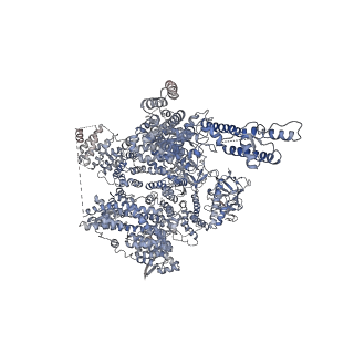 7984_6dqv_D_v1-2
Class 2 IP3-bound human type 3 1,4,5-inositol trisphosphate receptor