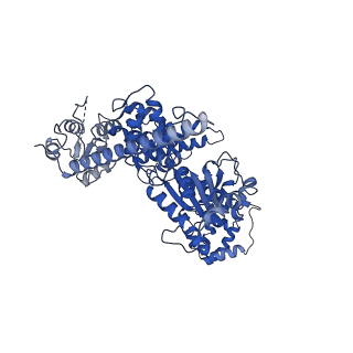 27671_8dr5_A_v1-2
Open state of RFC:PCNA bound to a 3' ss/dsDNA junction (DNA2) with NTD