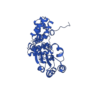 27671_8dr5_B_v1-2
Open state of RFC:PCNA bound to a 3' ss/dsDNA junction (DNA2) with NTD