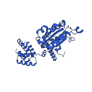 27671_8dr5_D_v1-2
Open state of RFC:PCNA bound to a 3' ss/dsDNA junction (DNA2) with NTD