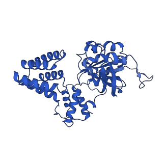 27671_8dr5_E_v1-2
Open state of RFC:PCNA bound to a 3' ss/dsDNA junction (DNA2) with NTD