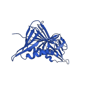 27671_8dr5_F_v1-2
Open state of RFC:PCNA bound to a 3' ss/dsDNA junction (DNA2) with NTD