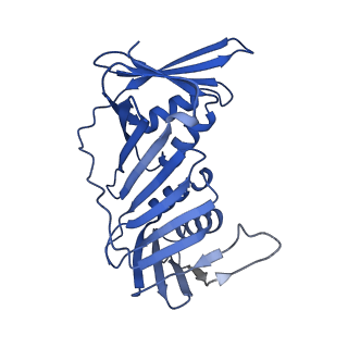 27671_8dr5_G_v1-2
Open state of RFC:PCNA bound to a 3' ss/dsDNA junction (DNA2) with NTD