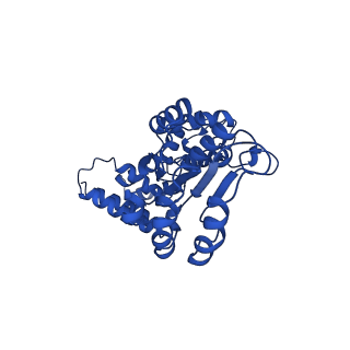 27673_8dr7_C_v1-2
Open state of RFC:PCNA bound to a nicked dsDNA