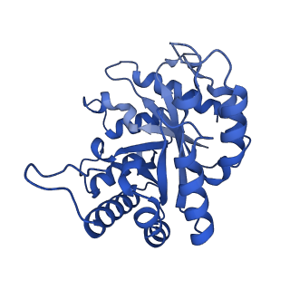 30808_7drd_A_v1-0
Cryo-EM structure of DgpB-C at 2.85 angstrom resolution