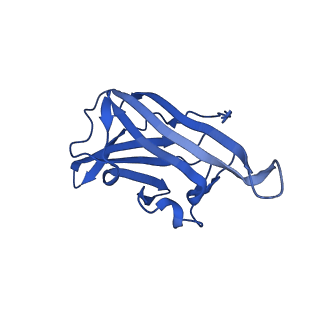 30808_7drd_B_v1-0
Cryo-EM structure of DgpB-C at 2.85 angstrom resolution