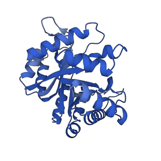 30808_7drd_C_v1-0
Cryo-EM structure of DgpB-C at 2.85 angstrom resolution