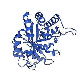 30808_7drd_E_v1-0
Cryo-EM structure of DgpB-C at 2.85 angstrom resolution