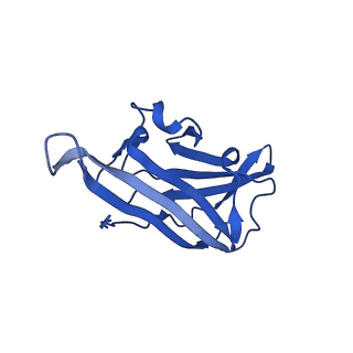 30808_7drd_F_v1-0
Cryo-EM structure of DgpB-C at 2.85 angstrom resolution
