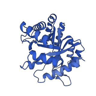 30808_7drd_G_v1-0
Cryo-EM structure of DgpB-C at 2.85 angstrom resolution