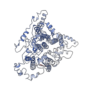 30823_7dr2_aA_v1-0
Structure of GraFix PSI tetramer from Cyanophora paradoxa