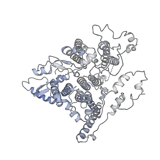 30823_7dr2_aB_v1-0
Structure of GraFix PSI tetramer from Cyanophora paradoxa
