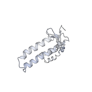 30823_7dr2_aF_v1-0
Structure of GraFix PSI tetramer from Cyanophora paradoxa