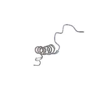 30823_7dr2_aJ_v1-0
Structure of GraFix PSI tetramer from Cyanophora paradoxa