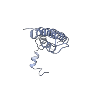 30823_7dr2_aL_v1-0
Structure of GraFix PSI tetramer from Cyanophora paradoxa
