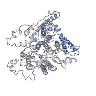 30823_7dr2_bB_v1-0
Structure of GraFix PSI tetramer from Cyanophora paradoxa