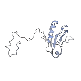 30823_7dr2_bD_v1-0
Structure of GraFix PSI tetramer from Cyanophora paradoxa
