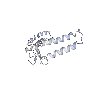 30823_7dr2_bF_v1-0
Structure of GraFix PSI tetramer from Cyanophora paradoxa