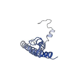 30823_7dr2_bL_v1-0
Structure of GraFix PSI tetramer from Cyanophora paradoxa