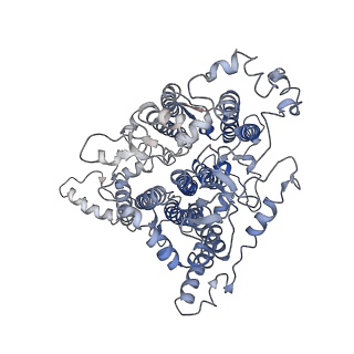 30823_7dr2_cA_v1-0
Structure of GraFix PSI tetramer from Cyanophora paradoxa
