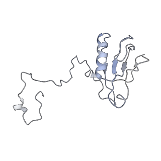 30823_7dr2_cD_v1-0
Structure of GraFix PSI tetramer from Cyanophora paradoxa