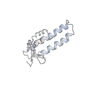 30823_7dr2_cF_v1-0
Structure of GraFix PSI tetramer from Cyanophora paradoxa
