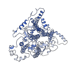 30823_7dr2_dA_v1-0
Structure of GraFix PSI tetramer from Cyanophora paradoxa