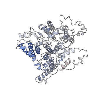 30823_7dr2_dB_v1-0
Structure of GraFix PSI tetramer from Cyanophora paradoxa