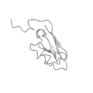 30823_7dr2_dC_v1-0
Structure of GraFix PSI tetramer from Cyanophora paradoxa