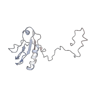 30823_7dr2_dD_v1-0
Structure of GraFix PSI tetramer from Cyanophora paradoxa