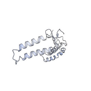 30823_7dr2_dF_v1-0
Structure of GraFix PSI tetramer from Cyanophora paradoxa
