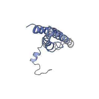 30823_7dr2_dL_v1-0
Structure of GraFix PSI tetramer from Cyanophora paradoxa