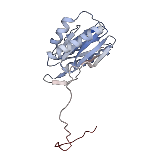 30824_7dr6_1_v1-1
PA28alpha-beta in complex with immunoproteasome